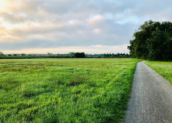 Lejlighed Ferien-apartment Zaunkoenig - Mit Priv Strandzugang - Soutterrain *