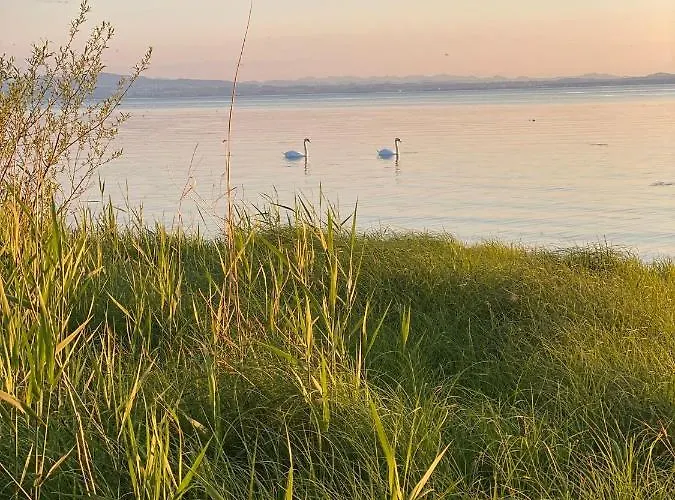 Lejlighed Ferien-apartment Zaunkoenig - Mit Priv Strandzugang - Soutterrain Friedrichshafen